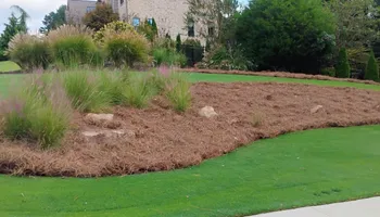 Pinestraw for BAM Another Pinestraw Lot in Flowery Branch, GA