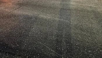 Tree Removal for Complete Care in Cumberland Gap, TN