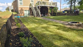 Tree Removal for Optimum Tree Service And Landscaping in Bowling Green, KY