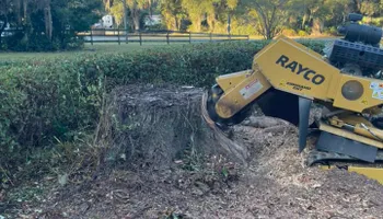 Tree Removal for Alford’s Tree and Stump Services LLC in Lake City, FL