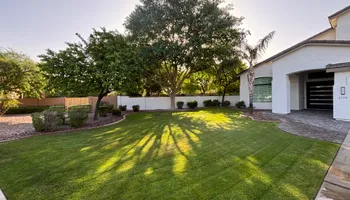 Shrub Trimming for Revolution Landscape Construction in Mesa, AZ
