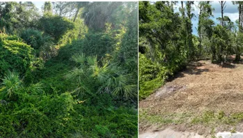 Forestry Mulching for SWF Land Clearing Solutions in Fort Myers, FL