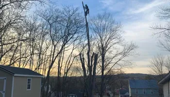 Tree Removal for VA Landgrowth LLC in Lexington, VA