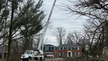 Tree Removal for Down To Earth Tree Service, LLC in Westlake, OH