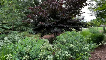 Erosion Control / Water Management for Christina King Landscape Design in West Raleigh, NC