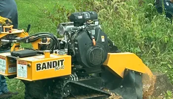 Stump Removal for Mad Dust Stump Grinding in Howard County, MD