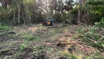 Tree Removal for TREE BOYS in Ruskin, FL