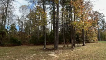 Lawn Maintenance for C + C Landscaping in Chesterfield, VA