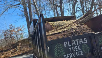 Tree Removal for Platas Tree Service  in Clyde, NC