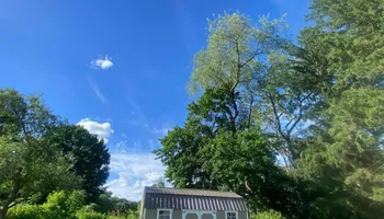 Tree Removal for Licensed to Cut in Athens, PA