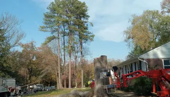 Tree Removal for Smith Tree Experts in Palmyra, VA