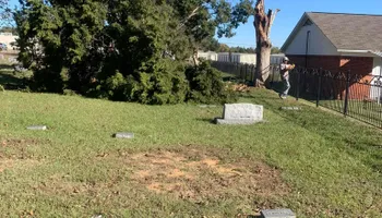 Tree Removal & Trimming for Teague Trees and Land Clearing in Rendon, TX
