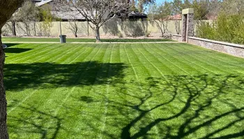 Shrub Trimming for Revolution Landscape Construction in Mesa, AZ