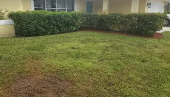Tree Removal for Regal Tree Service and Stump Grinding in Wauchula, FL