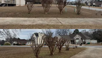 Painting and Drywall for Camalett Services in Perry, GA