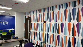 Professional Murals for Unique Customs  in Denver, Colorado