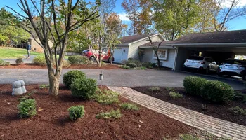 Tree Removal for Optimum Tree Service And Landscaping in Bowling Green, KY