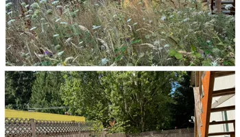 Patio Design & Construction for Hall of Fame Landscaping in Bremerton, WA