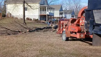 Tree Removal for Gray's Tree Service  in Shenandoah County, VA