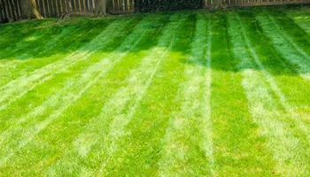 Roofing Installation and Repairs for Manny's Cleaning,Lawn Care & Snow Removal Services in Champaign, IL
