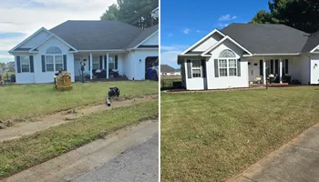 Tree Removal for Optimum Tree Service And Landscaping in Bowling Green, KY