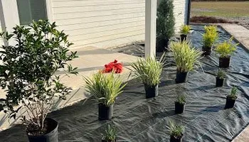 Sod Installation for Roberts Lawn & Landscape in Steinhatchee, FL