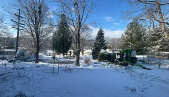 Tree Removal for Fransen's Tree Service  in Freeport, IL