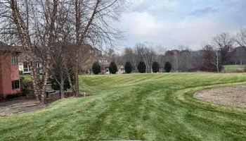 Tree Removal for K and Z Tree Care in Andover, MN