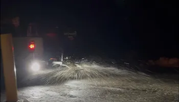 Landscape Design for MDR Landscaping in Urbana, IL