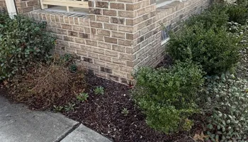 Lawn Clean Up for Healthy Roots Landscaping in Apex, NC