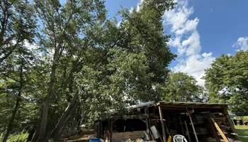 Land Clearing for Mud Creek Vegetation Management in Russellville, AL