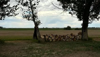 Tree Removal for Graham’s Tree Services in Pierce, CO