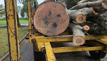 Tree Removal for Smith Tree Experts in Palmyra, VA