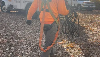 Tree Removal for Ross Family Tree Service LLC  in Hohenwald, TN