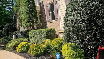 Lawn Maintenance for Surprising Odyssey in Gibsonville, NC