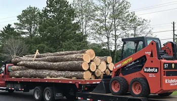 Tree Removal for Thompson Tree Climbers, LLC in Lexington, SC
