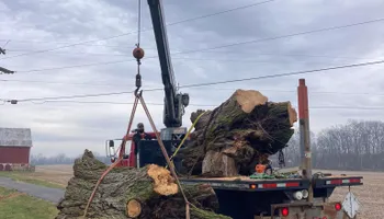 Tree Removal for Summit Tree Care LLC in Fort Wayne, IN