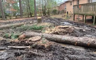 Tree Removal for Thompson Tree Climbers, LLC in Lexington, SC