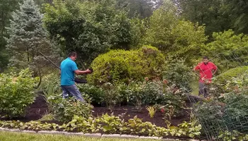 Tree Removal for Mario's Tree Service in Richmond, VA