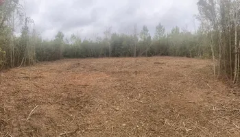 Land Clearing for South Mississippi Land Management LLC in Columbia, Mississippi