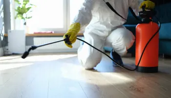 Residential Pest Control for All Pro Pest Control in Banner, KY