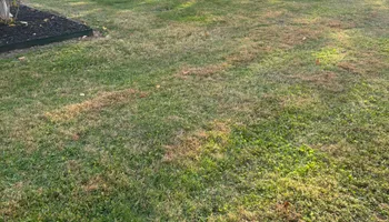 Mowing for AB Lawn Care in Plymouth, IN