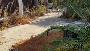 Fall Clean Up for Regalado Landscape in Antioch, CA