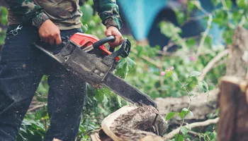 Lawn Care for Pro-Care LLC in Hudson, WI