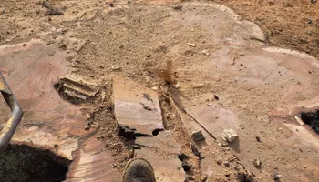 Tree Removal for Smith Tree Experts in Palmyra, VA