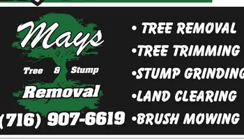 Tree Removal for Mays Tree and Stump Removal in Alden, NY