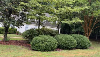 Driveway Design & Build for Lewis Oaks Landscaping in King and Queen County, VA