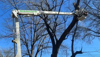 Tree Removal for Cross Family Tree Service in Kearney, MO