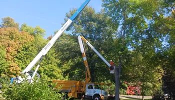Tree Care for Buffalo Family Tree Care in Buffalo, MN