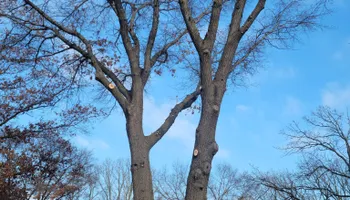 Snow Removal  for K and Z Tree Care in Isanti County, MN